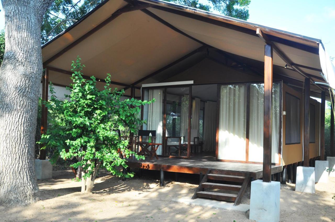 Wild Trails Yala By Suri Hotel Kültér fotó