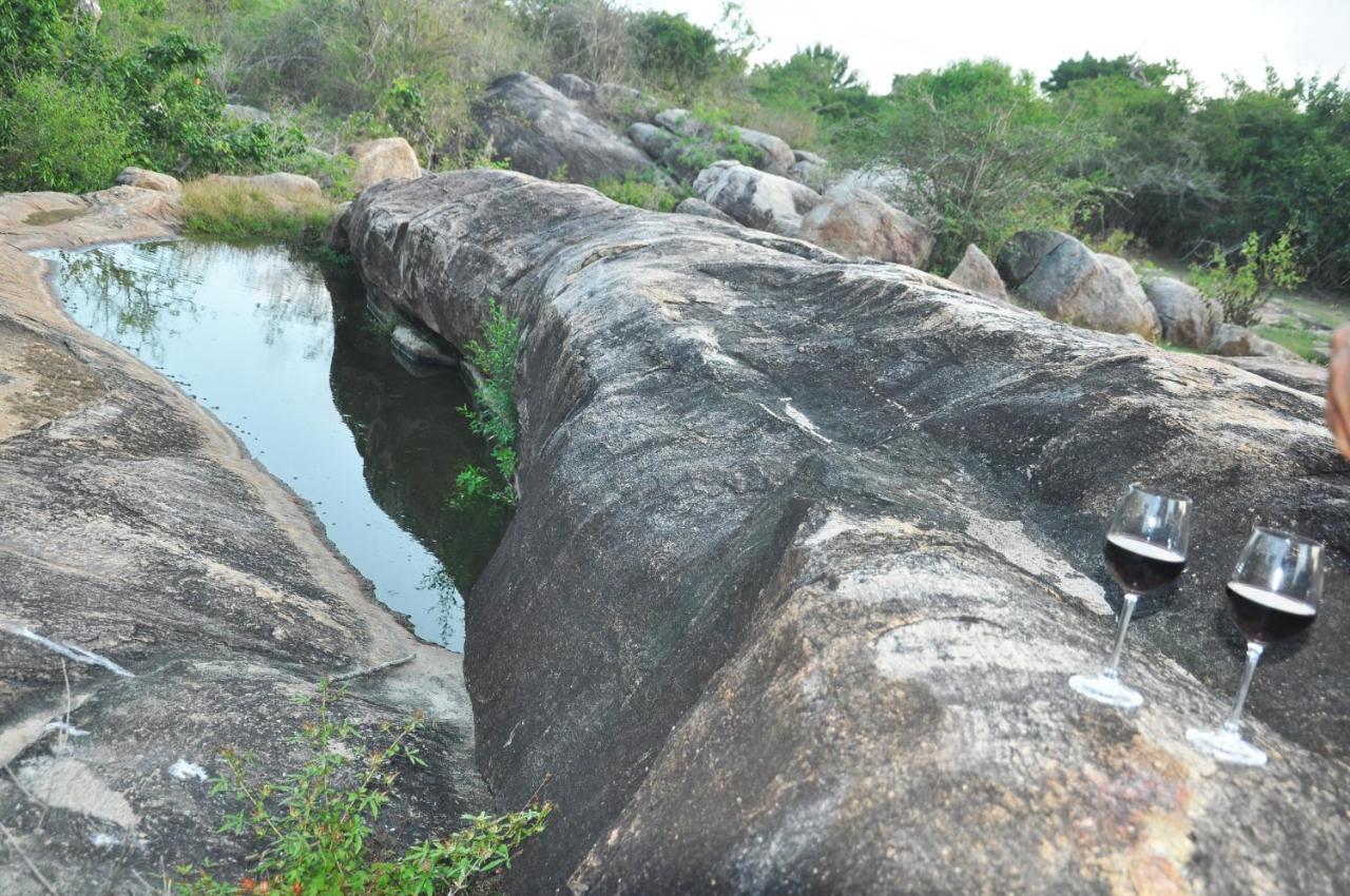 Wild Trails Yala By Suri Hotel Kültér fotó